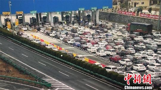 2月11日上午8时48分，沪鄂高速公路鄂皖省际收费站因车流量大出现排队等候现象 李洋 摄